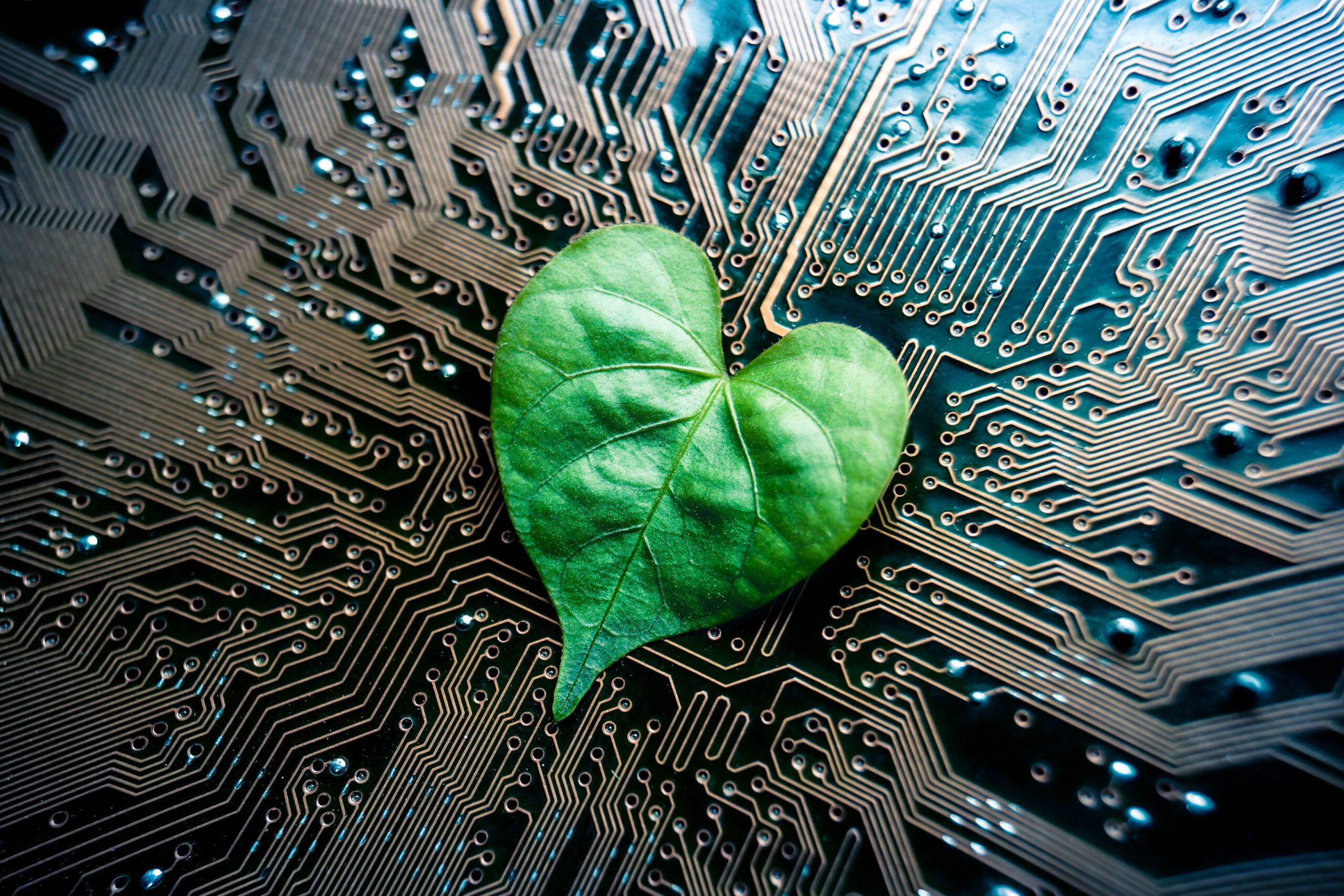 a green leaf on a circuit board.